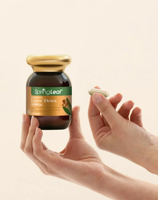 澳洲 Spring Leaf Ultra Strength Liver Detox 51800mg 綠芙 高含量奶薊草護肝膠囊 60粒:圖片 2